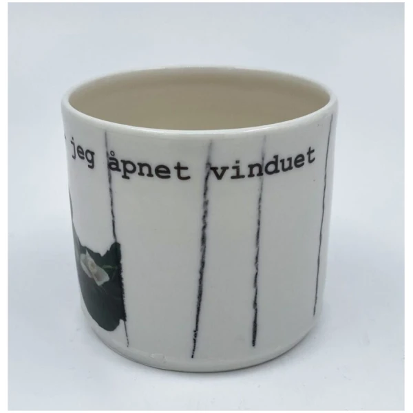 Jeg åpnet vinduet - Bilde 2