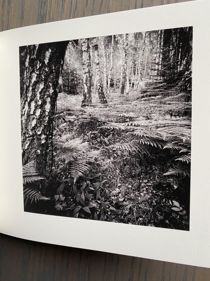 Vandringer - fotobok - Bilde 4
